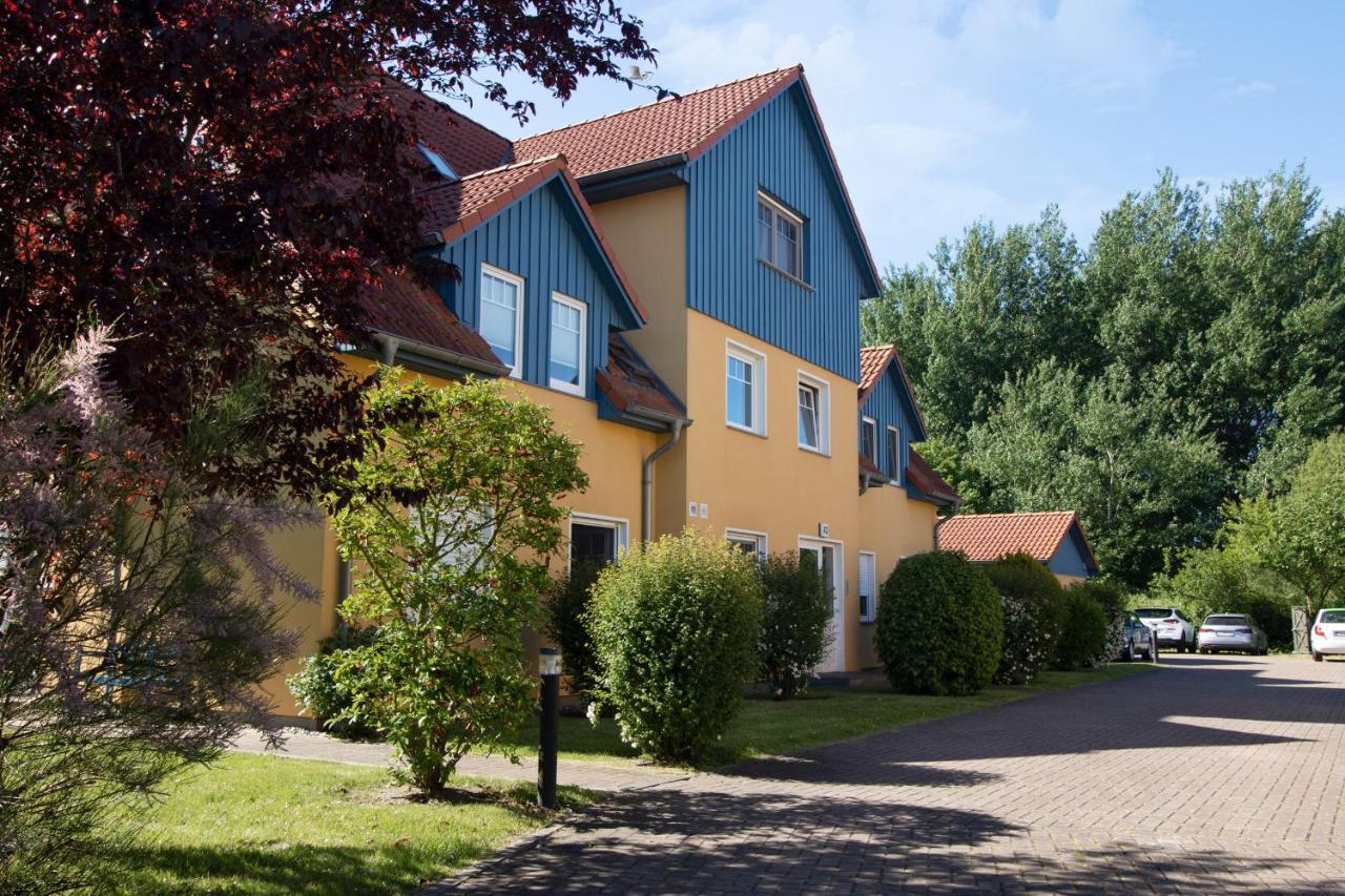 Friedenstrasse 43 Whg Mara Διαμέρισμα Zingst Εξωτερικό φωτογραφία